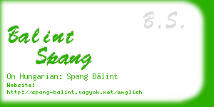 balint spang business card